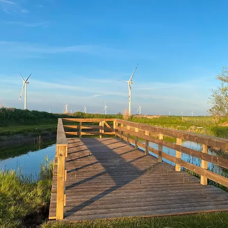 Littmann Апартаменты Friedrich-Wilhelm-Lubke-Koog